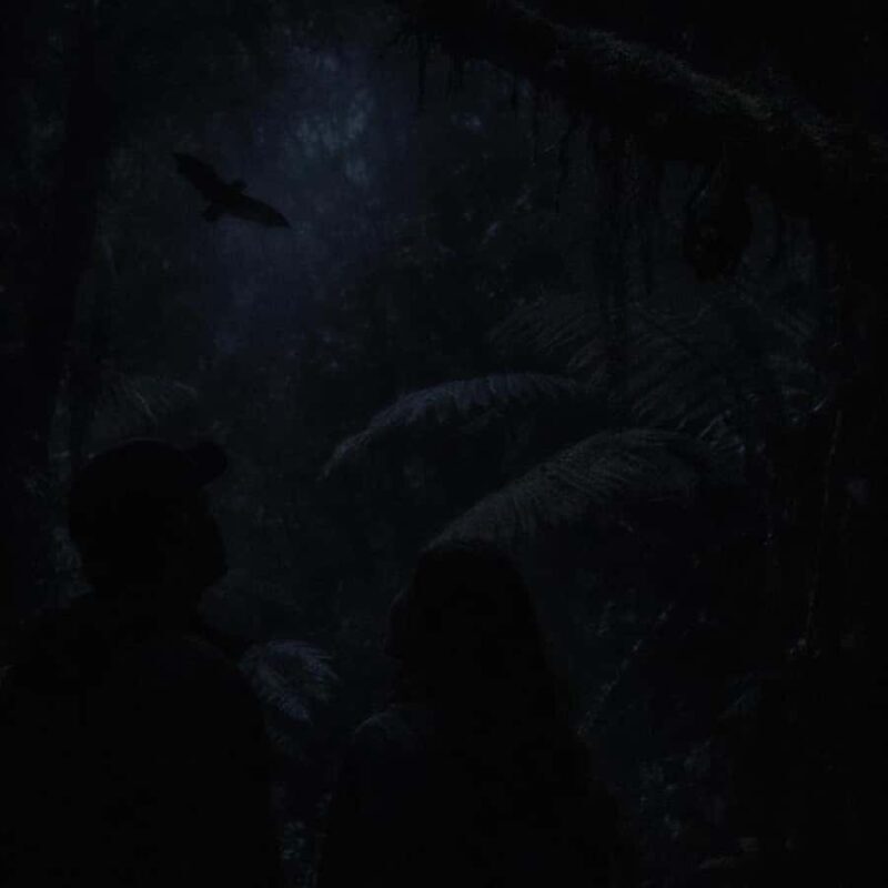 Auckland: Piha Native Bat Discovery Walking Tour - The Real Value of the Experience