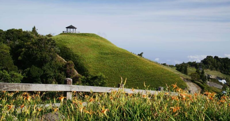 Auckland: Private City Tour with Mount Victoria and Mt. Eden - Who Should Consider This Tour?