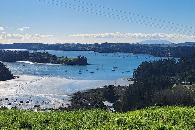 Auckland Private Custom Journeys in Luxury - Exploring Auckland in Style: A Detailed Look at the Private Custom Journeys in Luxury