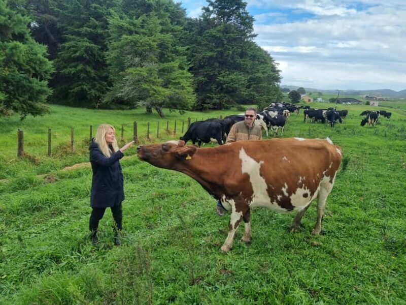 Auckland: Private Farm Tour with Sheep Shearing & Lunch - Key Points
