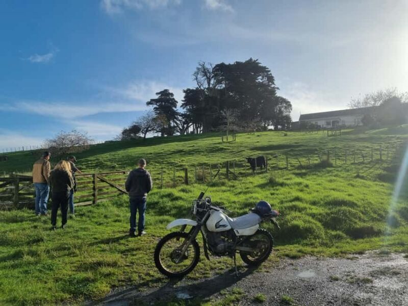 Auckland: Private Farm Tour with Sheep Shearing & Lunch - What the Tour Means for You