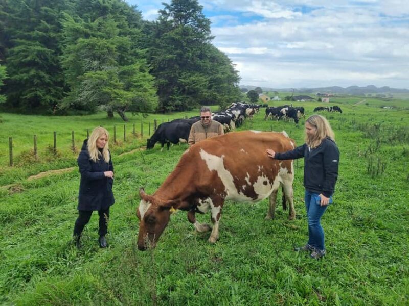 Auckland: Private Farm Tour with Sheep Shearing & Lunch - Final Thoughts