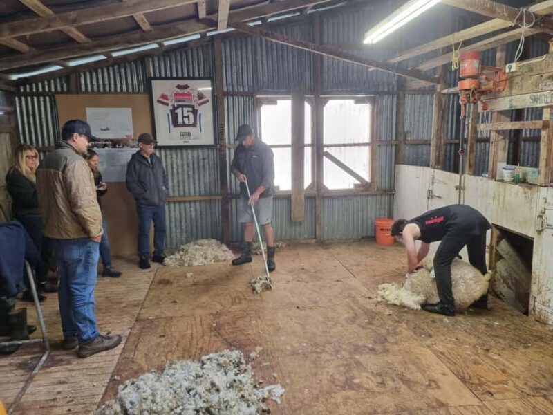 Auckland: Private Farm Tour with Sheep Shearing & Lunch - FAQs
