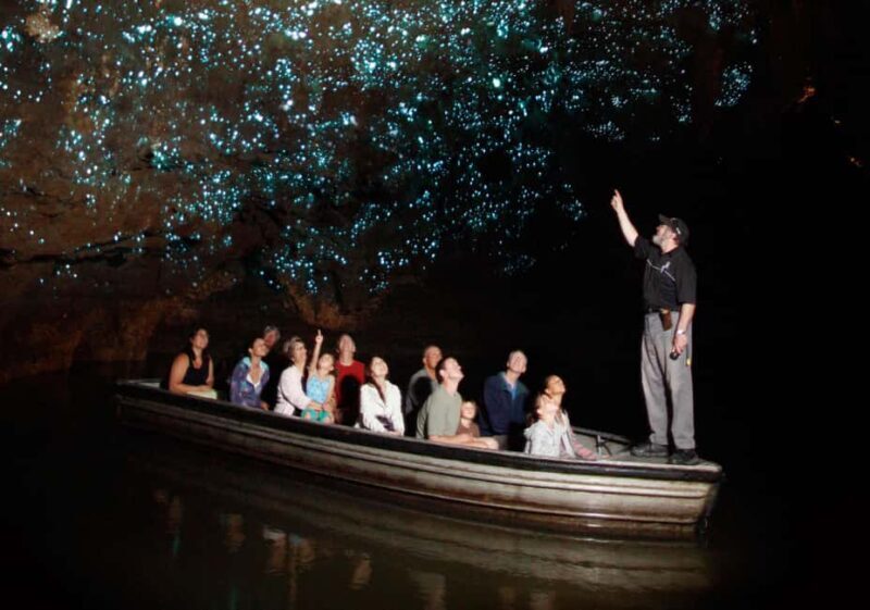 Auckland: Private Hobbiton Movie Set & Waitomo Caves Tour - Introduction: A Day of Movie Magic and Natural Wonder