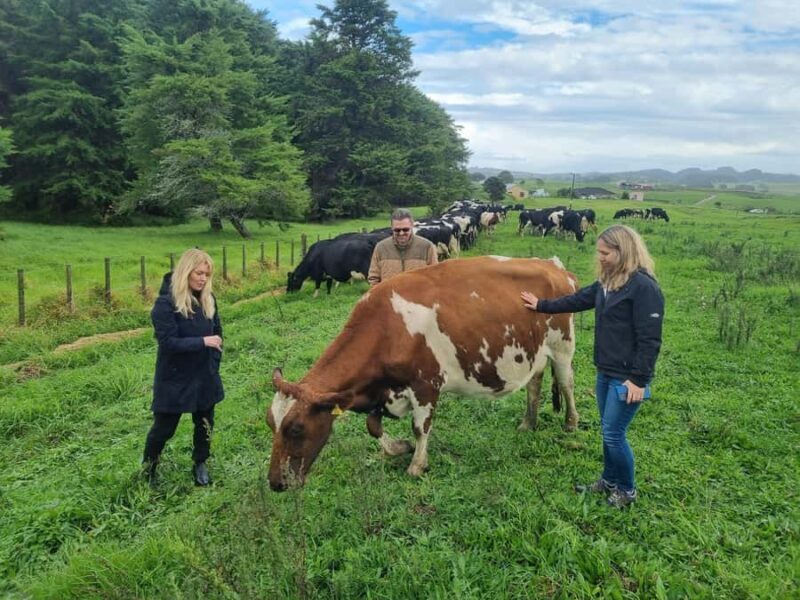 Auckland: Private Sheep & Beef Working Farm Tour - FAQ