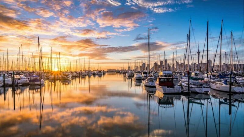 Auckland: Private Sightseeing Full or Half Day Guided Tour - What to Expect from the Tour