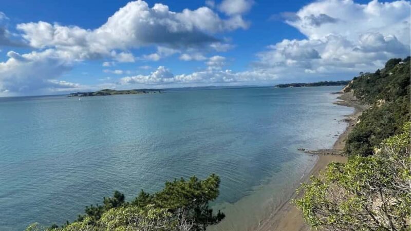Auckland: Private Sightseeing Full or Half Day Guided Tour - Evaluating the Value