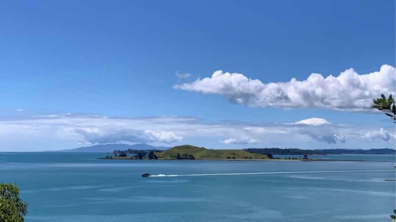 Auckland: Private Sightseeing Full or Half Day Guided Tour - Final Thoughts