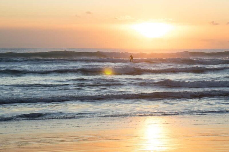 Auckland Private Tour: West Coast Wilderness & Piha Beach - Key Points