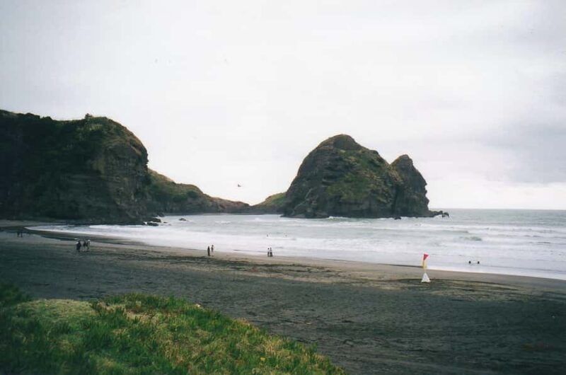 Auckland Private Tour: West Coast Wilderness & Piha Beach - Authentic Experiences from Reviews