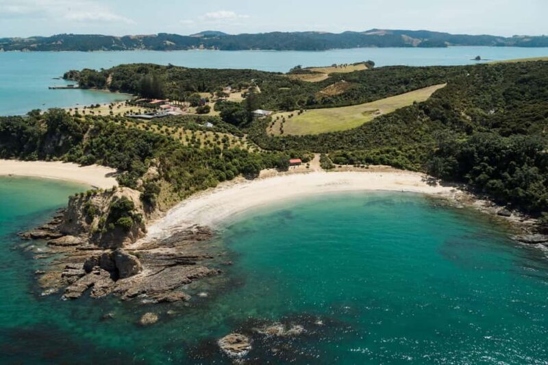 Auckland: Rotoroa Island and Man O'War Vineyard Combo Tour - Key Points  