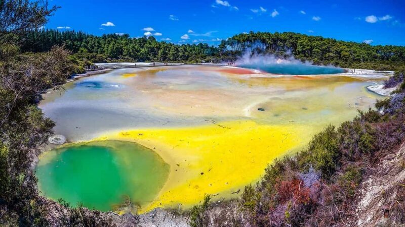 Auckland: Rotorua Highlights inc Wai-O-Tapu & Polynesian Spa - Key Points