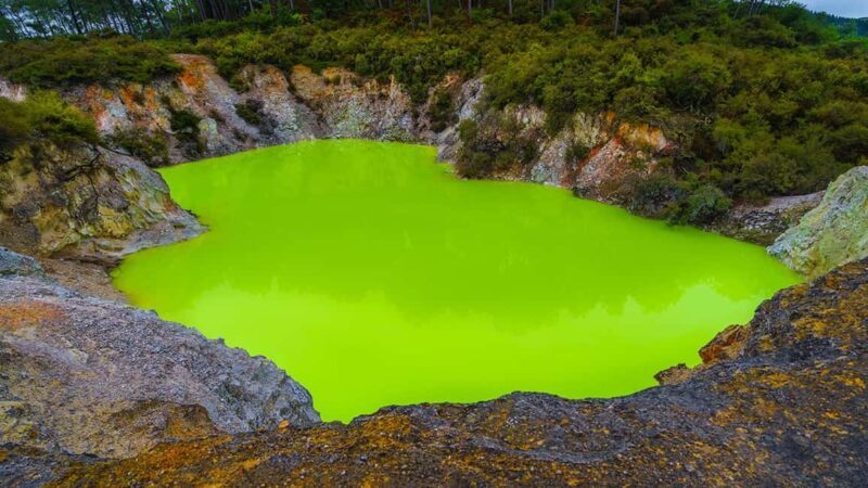Auckland: Rotorua Highlights Tour with Wai-O-Tapu & Hot Tubs - Who Will Love This Tour?