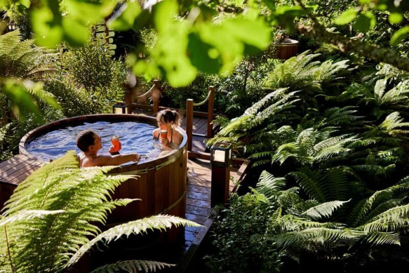 Auckland: Rotorua Highlights w Redwoods Treewalk & Hot Tubs - Starting Your Journey: From Auckland to Rotorua