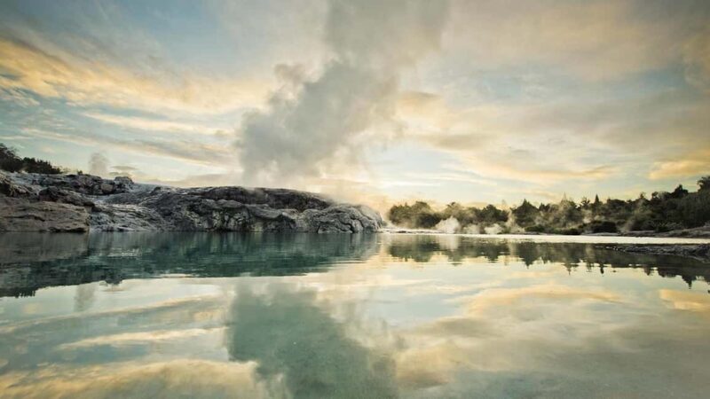 Auckland: Rotorua Highlights w TePuia & Secret Spot Hot Tubs - Key Points