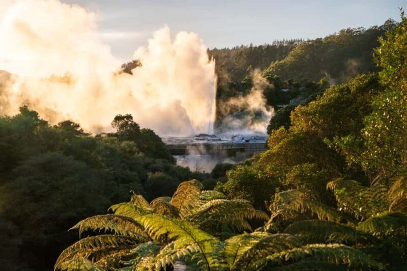 Auckland: Rotorua Highlights w TePuia & Secret Spot Hot Tubs - A Guide to Your Rotorua Day Trip
