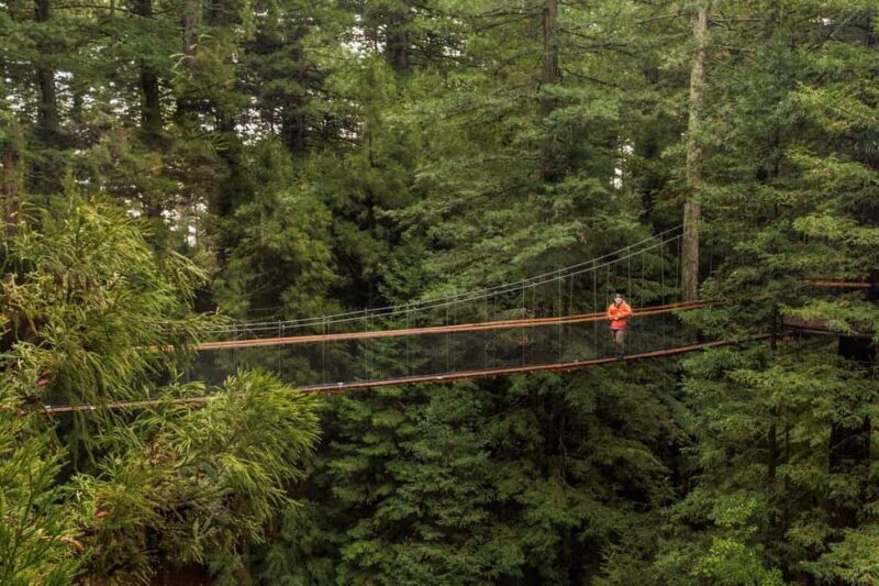 Auckland: Rotorua Highlights with Redwoods Treewalk & Spa - Exploring Rotorua in a Single Day