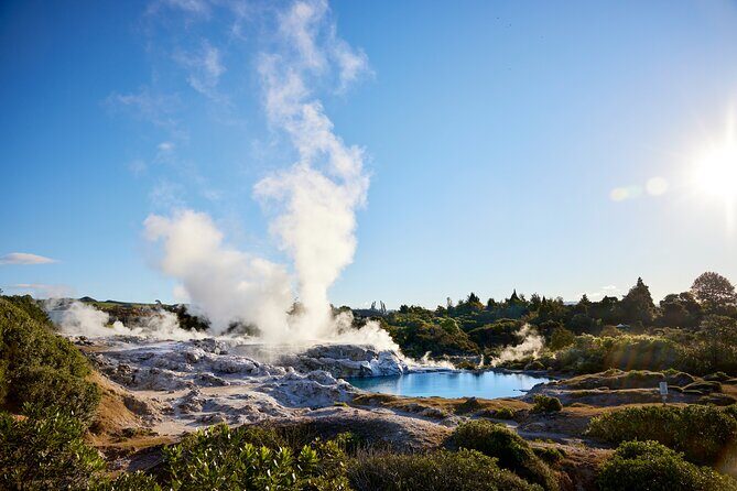 Auckland : Rotorua Living Maori Village with Haka and Hangi Lunch - A Full Breakdown of the Day
