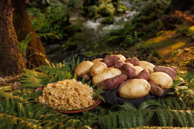 Auckland: Rotorua Mori Cultural & Geothermal Tour & Lunch - FAQ