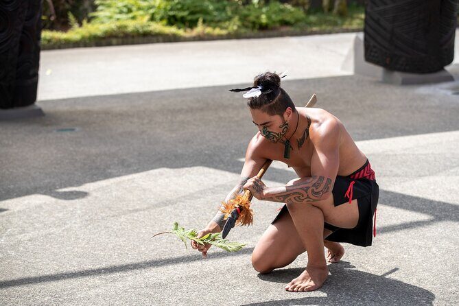 Auckland: Rotorua Tour with Waiotapu, Te Puia and Maori Haka - Return Journey: Reflecting on the Day