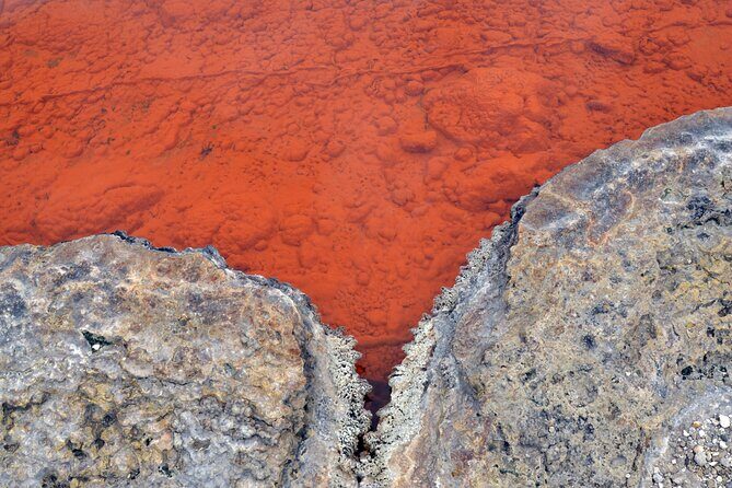 Auckland: Rotorua Tour with Waiotapu, Te Puia and Maori Haka - Who Should Consider This Tour?