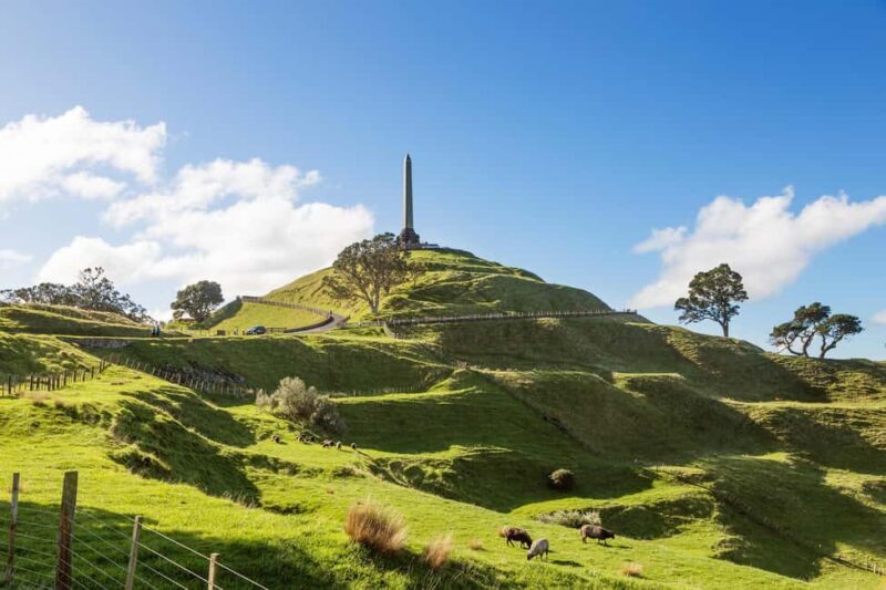 Auckland: Scenic City Discovery Half-Day Tour - Achilles Point: A Photo-Opportunity Paradise