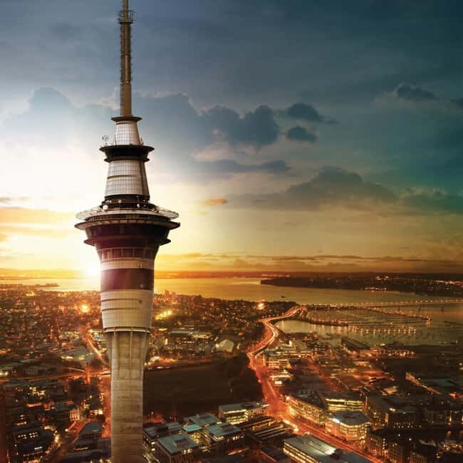 Auckland: Scenic City Discovery Half-Day Tour - How the Tour Works