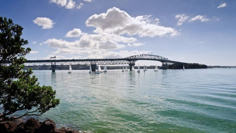 Auckland Scenic Half-Day City Sightseeing Tour - What to Expect from the Auckland Scenic Half-Day Tour