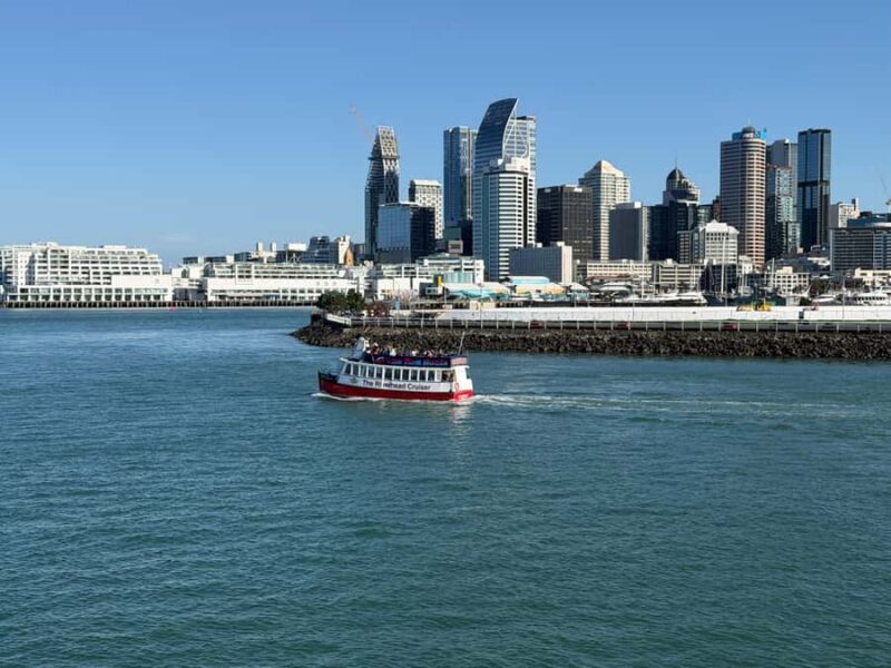 Auckland: Scenic Wine and Cheese Harbour Cruise - Key Points