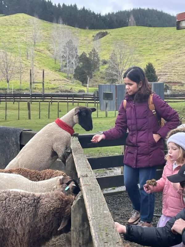 Auckland: Sheepworld, Honey Centre, & Kauri Trail Tour - Exploring Auckland: Sheepworld, Honey Centre, & Kauri Trail Tour