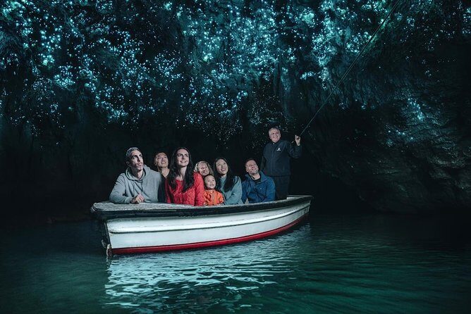 Auckland Sights Exclusive 4 Hour Luxury Day Tour - What Do the Reviews Tell Us?