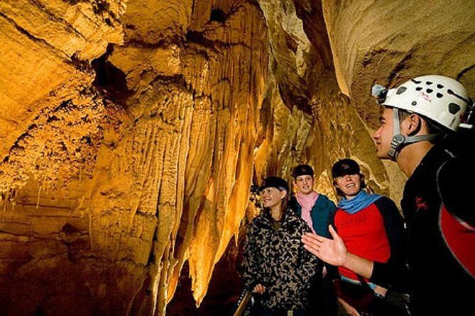 Auckland Sights Exclusive 4 Hour Luxury Day Tour - FAQ