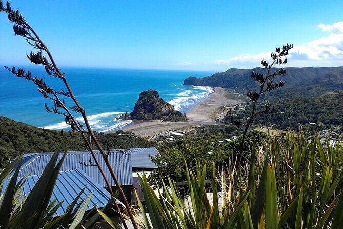 Auckland Sightseeing TourPrivate Full Day/Half Day Driver+Tesla - Key Points