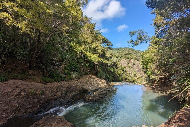 Auckland Sightseeing TourPrivate Full Day/Half Day Driver+Tesla - FAQs