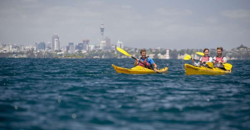 Auckland: Sunset & Night Sea Kayak Tour to Rangitoto Island - An Introduction to the Experience