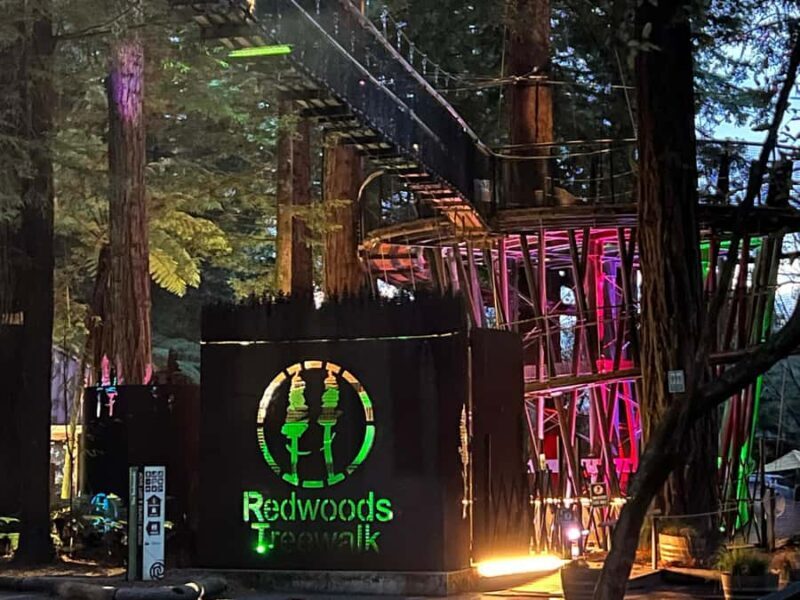 Auckland: TE PUIA Rotorua, Redwood & Blue Springs Day Tour - Key Points