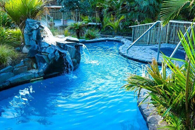 Auckland Thermal Pool and Muriwai Beach Sunset Day tour - Why We Love This Tour