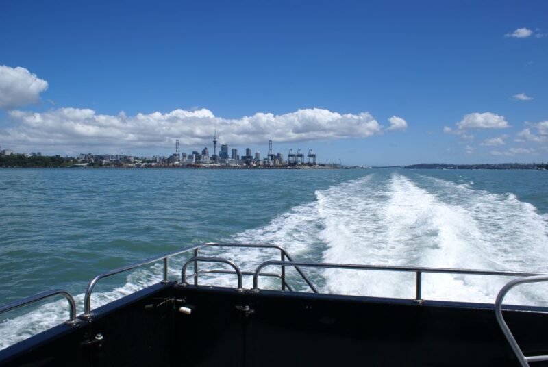 Auckland: Tikapa Moana Whales, Dolphins and Islands Cruise - Key Points