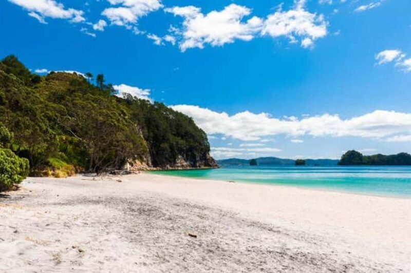 Auckland to Coromandel: Private Coastal Escape - Who Would Love This Tour?