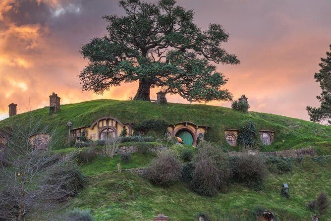 Auckland to Hobbiton Movie Set and Rotorua's Geothermal Valley - The Sum Up