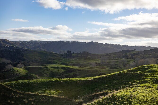 Auckland to Hobbiton Private Tour Shire Movie Set and Waikato - An In-Depth Look at the Experience