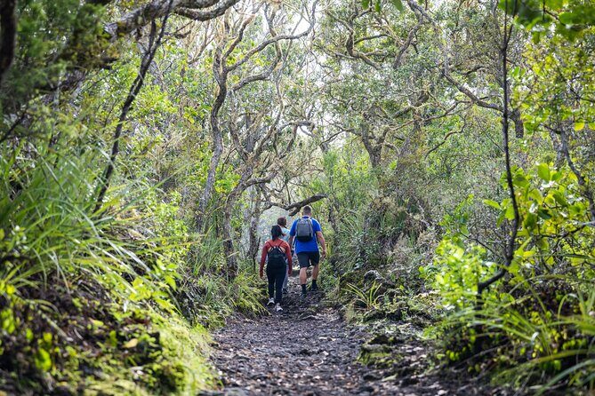 Auckland to Rangitoto Island Ferry - FAQ