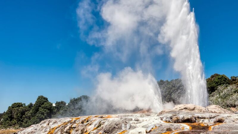 Auckland to Rotorua via Hobbiton One Way Small Group Tour - Key Points