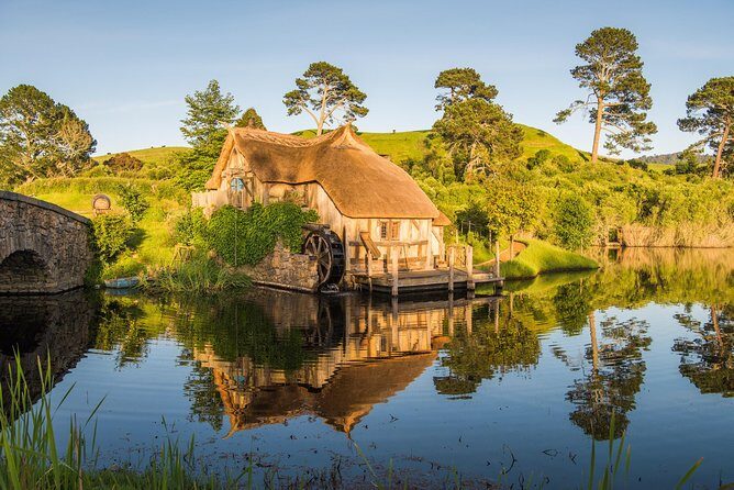 Auckland to Rotorua via Hobbiton Small Group Tour (One Way) - Breaking Down the Experience: What You Can Expect