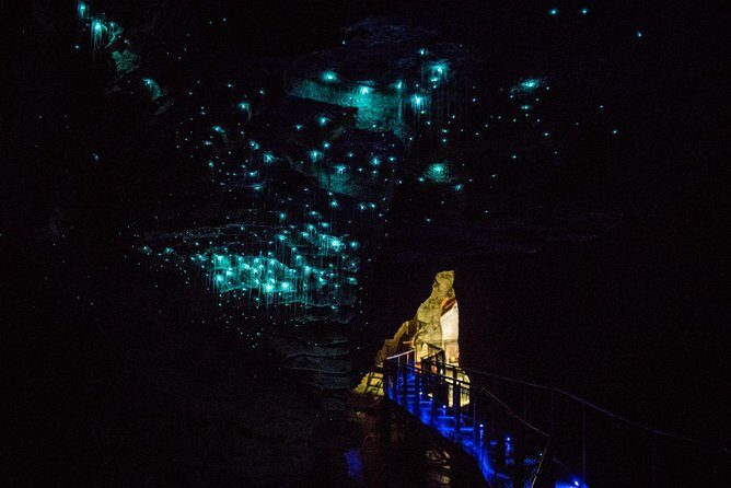 Auckland to Rotorua via Waitomo Caves Small Group Tour (One Way) - The Transport and Group Size  
