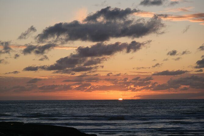 Auckland Urban Charm Half Day Tour - Value for Money