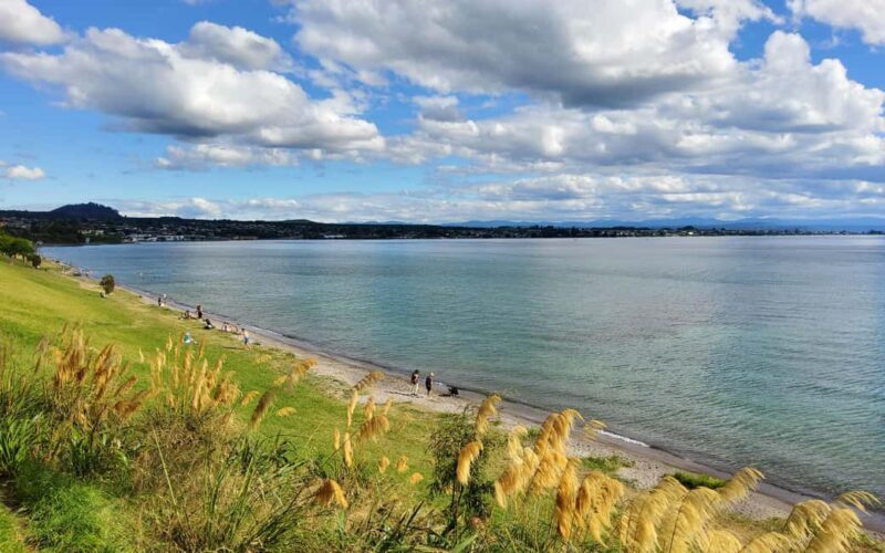 Auckland: Wai-O-Tapu and Lake Taupo Private Day Tour - The Sum Up