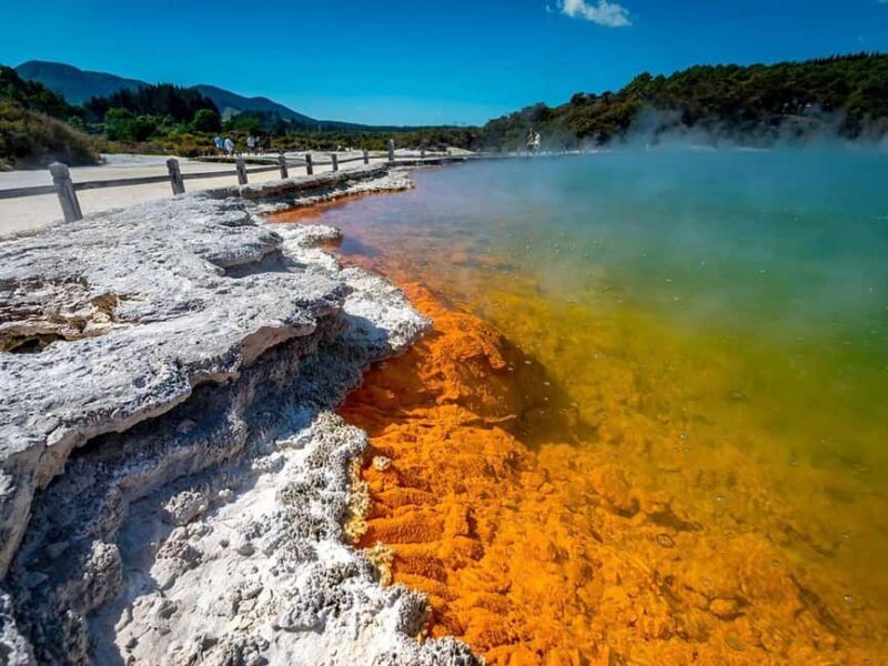 Auckland: Wai-O-Tapu, Polynesian Spa & Maori Haka - Key Points
