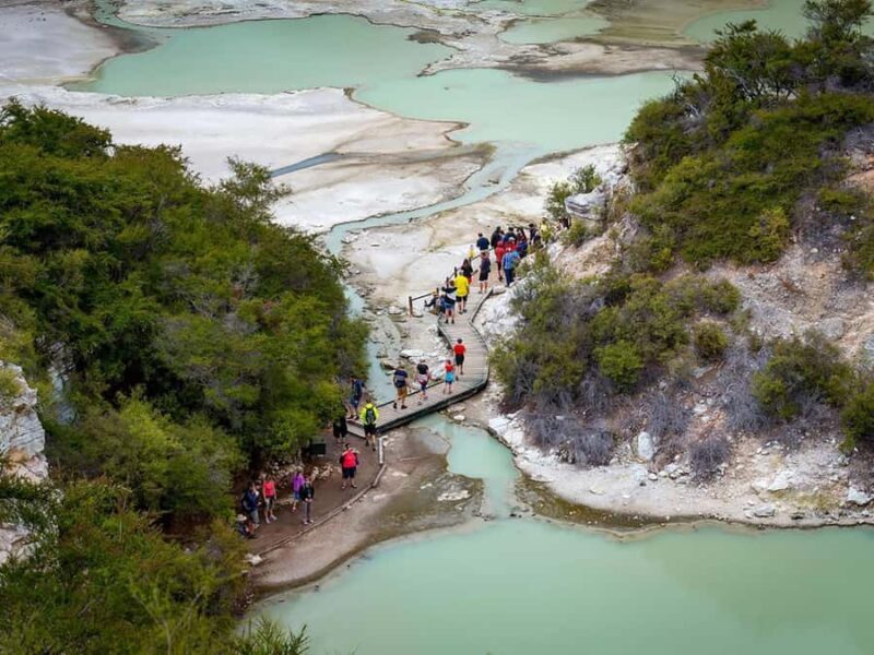 Auckland: Wai-O-Tapu & Wai Ariki Hot Springs Day Tour - Key Points
