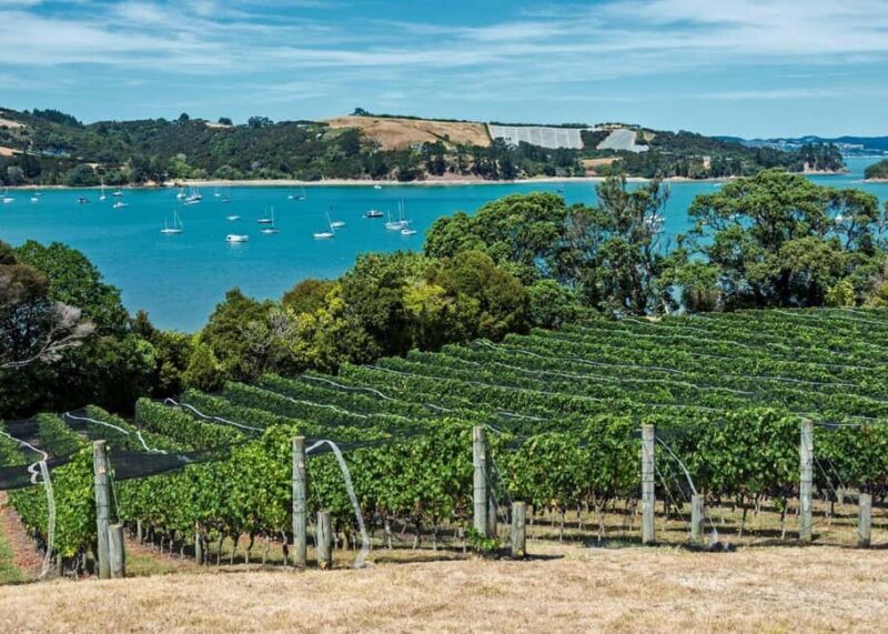Auckland: Waiheke Island Luxury Experience Private Tour - The Sum Up